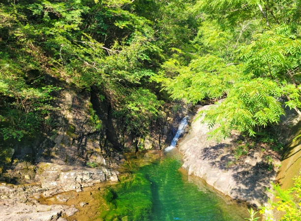 담양군, 설 당일 주요 관광지 무료 개방 